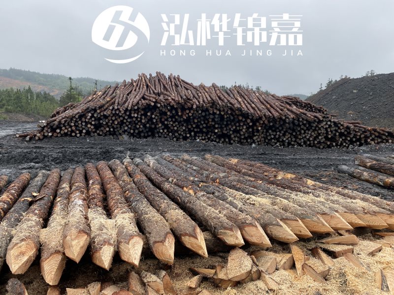 6米長(zhǎng)松木樁有哪些作用，多少錢一根？