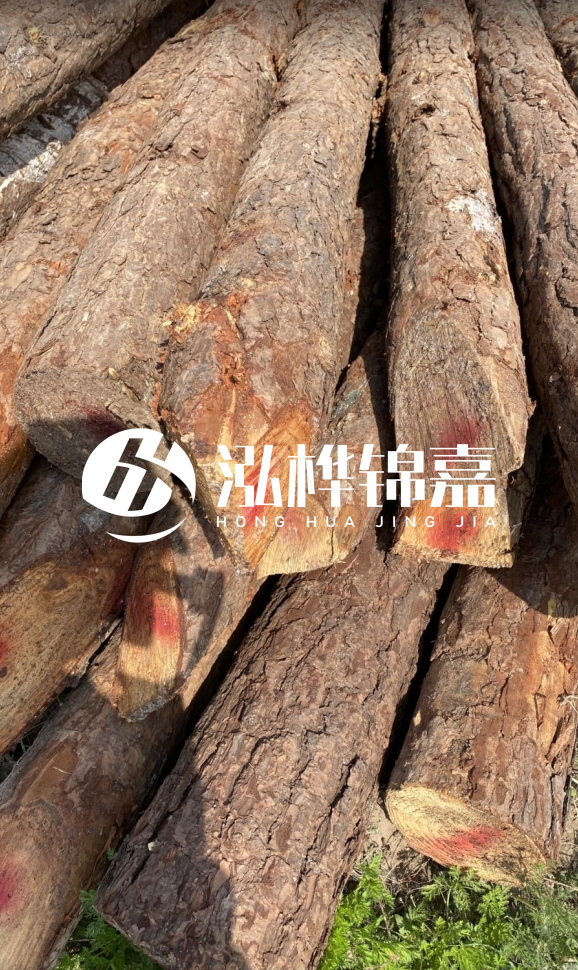 <strong>松木樁和杉木樁的用途區(qū)別？哪個(gè)更適合打樁用？</strong>
