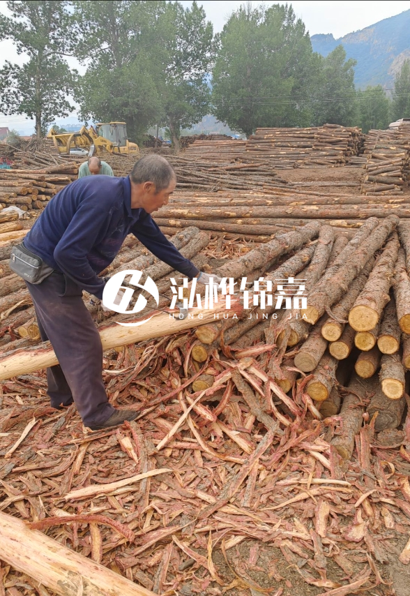 東營河道清淤專業(yè)施工隊-不同型號挖機清淤能力對比？