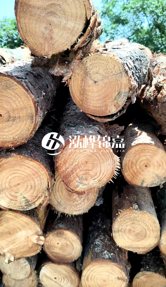 周口挖機(jī)打木樁專業(yè)施工-杉木樁施工打樁怎么打？