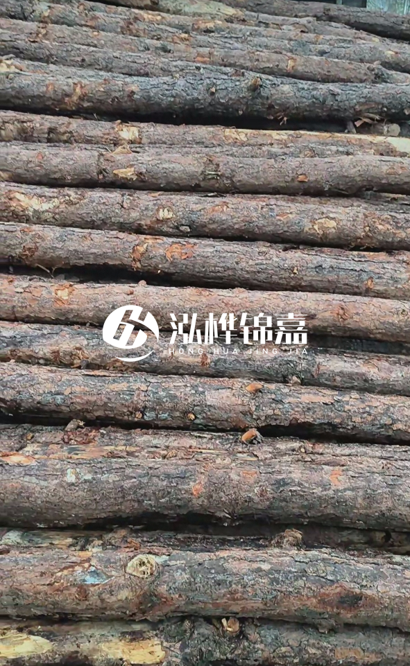 陽(yáng)江松木樁源頭廠(chǎng)家-哪一種打樁木最便宜？