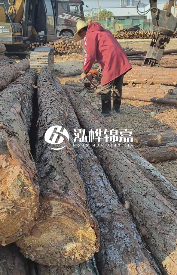 長(zhǎng)沙打樁木批發(fā)廠家在哪里？聯(lián)系方式是什么？