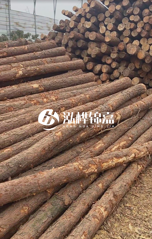 山西河道木樁護(hù)岸價(jià)格多少錢一米-每米河道打樁要花多少錢？