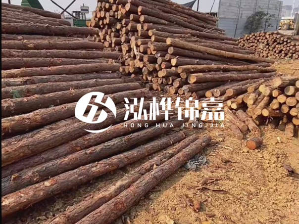 河道木樁施工遇到淤泥怎么辦？打多深才能防沖刷？