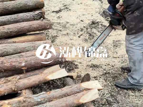 杉木樁批發(fā)廠家哪家好？產(chǎn)地直供渠道推薦！