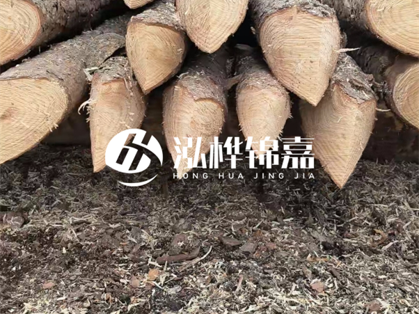 打樁木樁與鋼樁相比有哪些優(yōu)缺點(diǎn)？如何進(jìn)行后期維護(hù)？