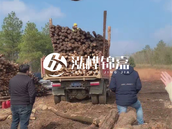 松木樁價(jià)格是按米算還是按根算？6米松木樁批發(fā)價(jià)每根多少錢？
