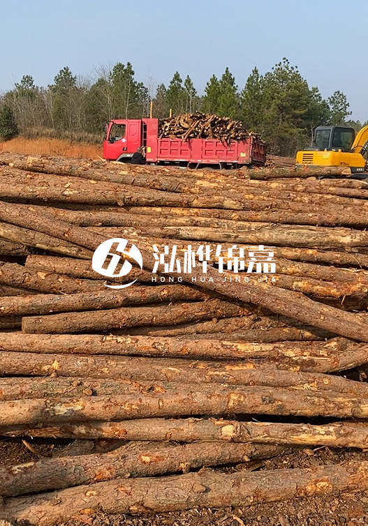 8米小頭11-13CM的松木樁價格是多少？打樁施工怎么算？