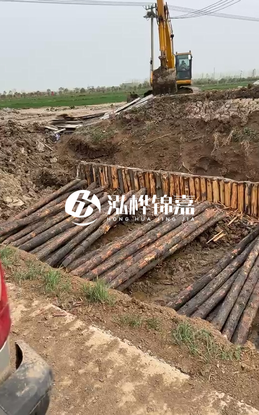 4米直徑12-13油松批發(fā)價最低多少？報價含稅含運嗎？