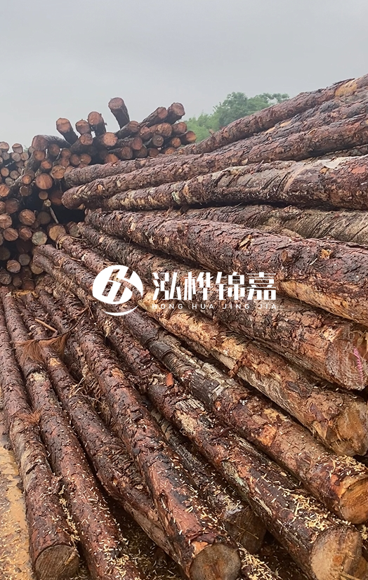 購(gòu)買松木樁注意事項(xiàng)有哪些-不同直徑松木樁區(qū)別有哪些？