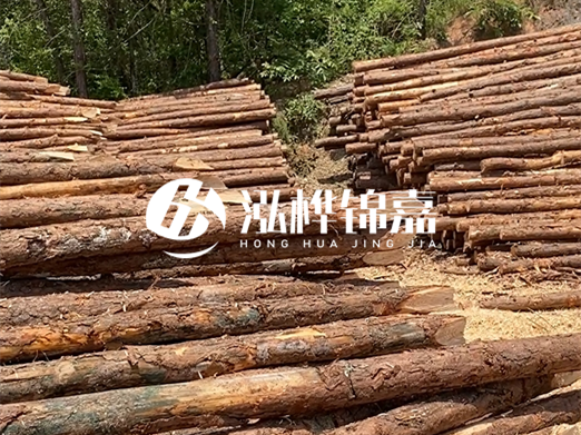 松木樁的運(yùn)輸費(fèi)用是否包含卸車費(fèi)？卸貨時(shí)需要注意哪些安全問(wèn)題？