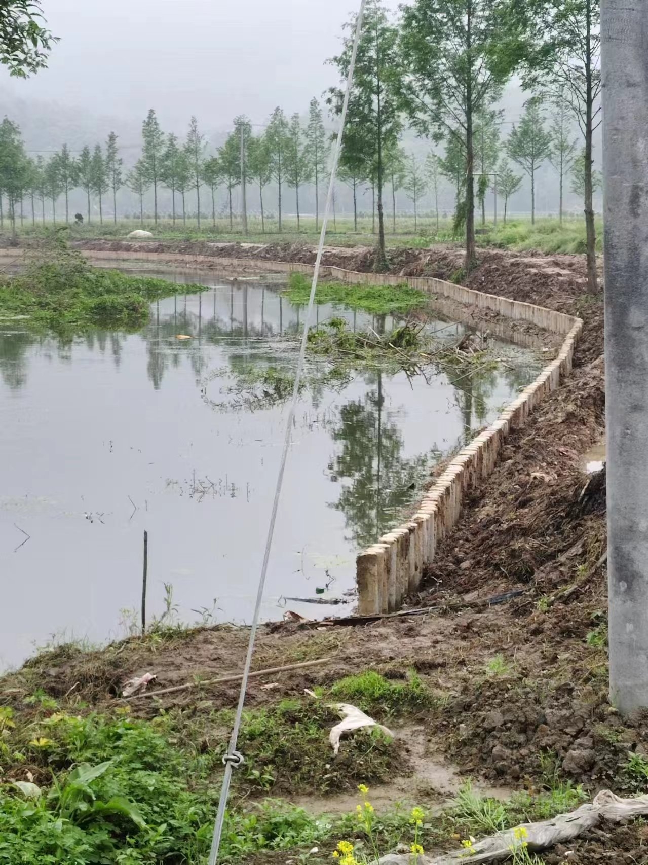 湖南水泥樁施工隊泓樺錦嘉-打水泥樁需要注意哪些事項？