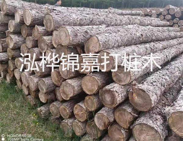 高效修補，保駕護航！水泥路面高強度修補料為您解決煩惱！