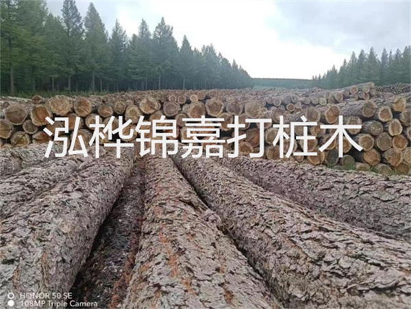 高效施工，圓松木樁助力建筑工程進(jìn)展順利
