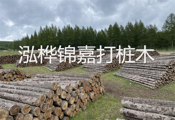 預(yù)制松木樁施工工藝：優(yōu)質(zhì)材料，高效快速，堅(jiān)固耐用