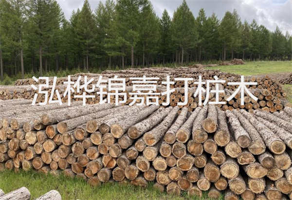 松木樁能施工嗎？探究視頻揭秘真相！