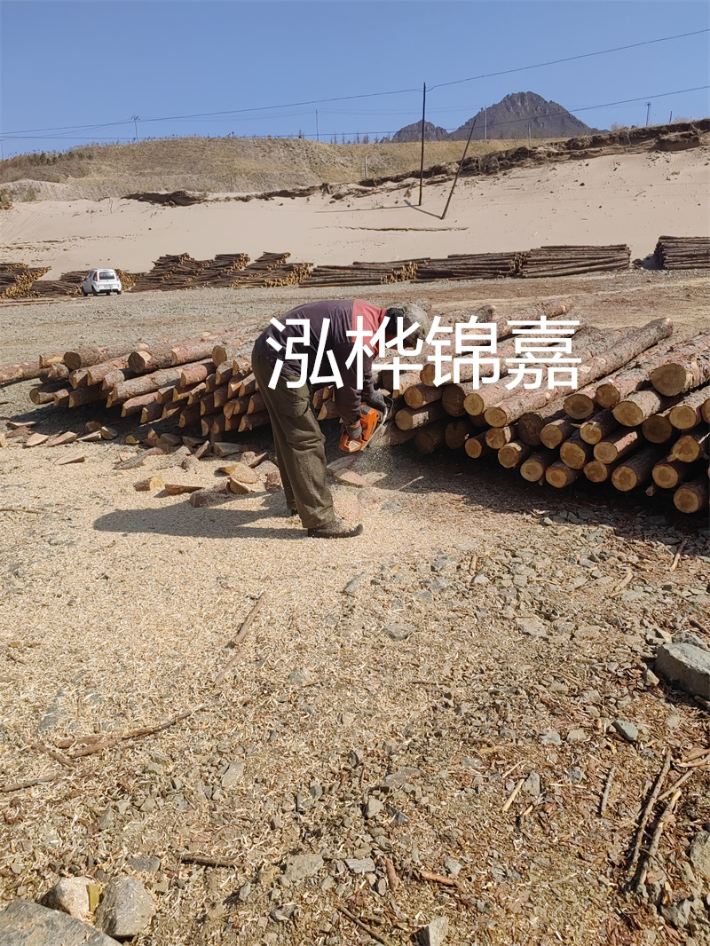 松木樁駁岸施工，打造水上風(fēng)景線