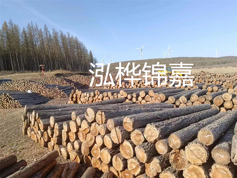 用路基松木樁施工方案提升工程質(zhì)量描述：了解路基松木樁施工方案的重要性，提高工程質(zhì)量關(guān)鍵詞：路基松木樁，施工方案，工程質(zhì)量