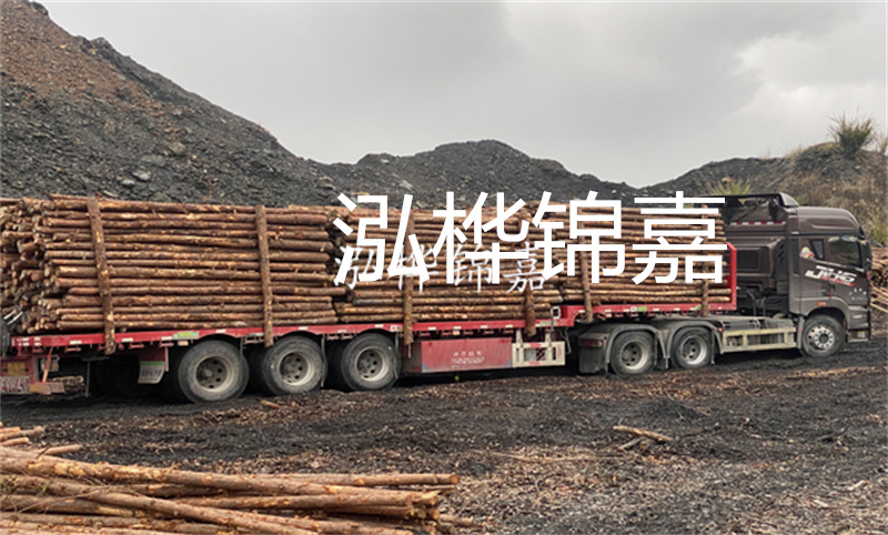 云南哪里有松木樁？實(shí)用指南，助您選購(gòu)優(yōu)質(zhì)木材！