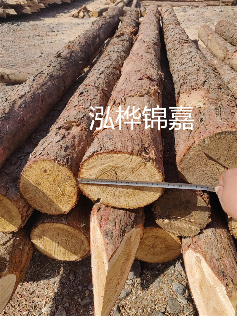 福建哪里買松木樁？