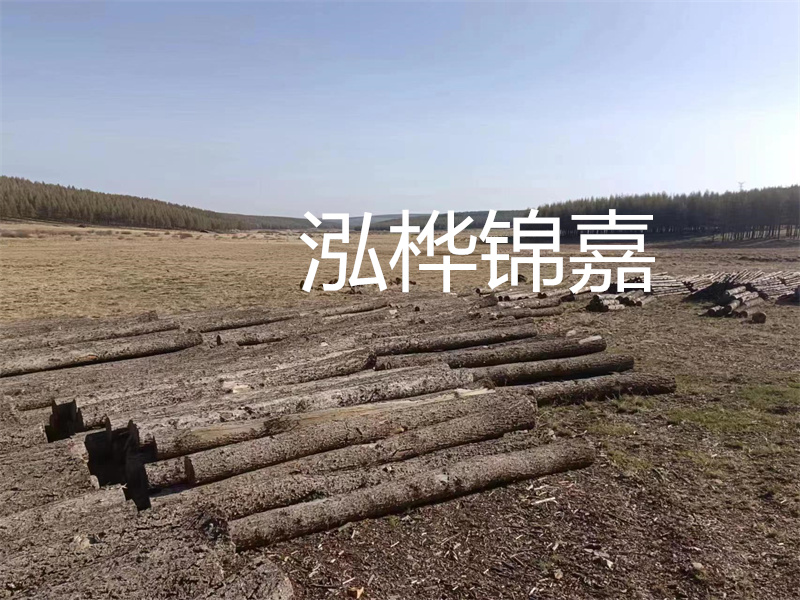 鄂州松木樁哪里好？推薦泓樺錦嘉松木樁業(yè)！
