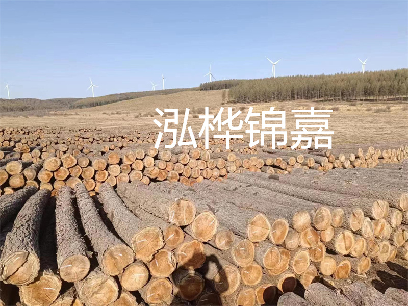 濟(jì)南哪里賣松木木樁？